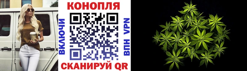 Бошки марихуана сатива  Феодосия 